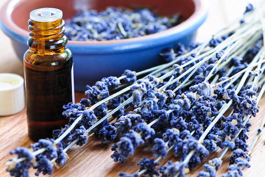 Lavender and oil bottle